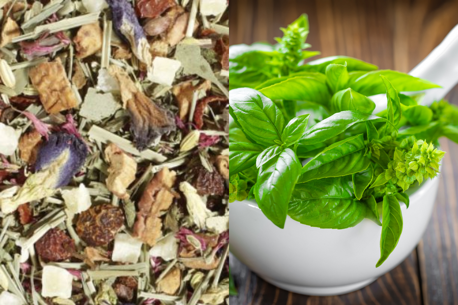 Basil Benefits: The Versatile Herb